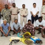 Jashpur News: करंट के तार की चपेट में नर हाथी की मौत, जशपुर में डेढ़ किमी बिछा था शिकार के लिए तार, 6 गिरफ्तार, 5 की तलाश जारी