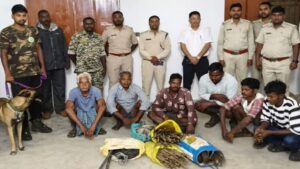 Jashpur News: करंट के तार की चपेट में नर हाथी की मौत, जशपुर में डेढ़ किमी बिछा था शिकार के लिए तार, 6 गिरफ्तार, 5 की तलाश जारी