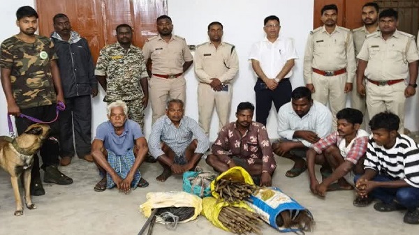 Jashpur News: करंट के तार की चपेट में नर हाथी की मौत, जशपुर में डेढ़ किमी बिछा था शिकार के लिए तार, 6 गिरफ्तार, 5 की तलाश जारी