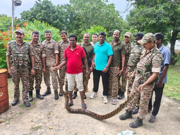 CRPF हेडक्वार्टर में घुस आया 20 फीट लंबा अजगर, जवानों ने वन विभाग के साथ किया सुरक्षित रेस्क्यू