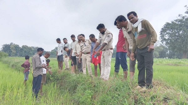 बस्तर के जंगलों में दिखा बाघ, ग्रामीणों में दहशत, वन विभाग ने जारी किया अलर्ट