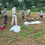 Raigarh News:  लापता युवक का शव मांड नदी में मिला, पुल के पास झाड़ियों में मिला शव, पुलिस जांच में जुटी