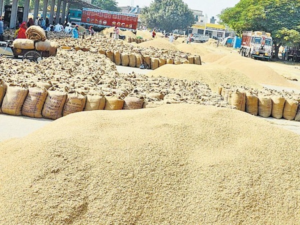 रायगढ़ जिले में खुलेंगे 7 नए धान उपार्जन केंद्र, किसानों को अपने क्षेत्र के नजदीक मिलेगी धान विक्रय की सुविधा