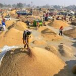 15 नवम्बर से शुरू होगी धान खरीदी, 27.50 लाख से अधिक किसानों से ₹3100 प्रति क्विंटल की दर से खरीदा जाएगा धान