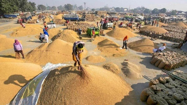 15 नवम्बर से शुरू होगी धान खरीदी, 27.50 लाख से अधिक किसानों से ₹3100 प्रति क्विंटल की दर से खरीदा जाएगा धान
