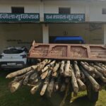 वन संपदा की सुरक्षा के लिए अवैध परिवहन पर कार्रवाई, सूरजपुर में दो वाहन जब्त, साल के 22 नग चिरान और मिश्रित प्रजाति की 56 बल्लियां बरामद