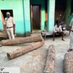 Raigarh: घर में छिपाकर रखे थे सागौन के लट्ठे और साल की चिरान, दस्तावेज नहीं दिखा सका मकान मालिक, सूचना पर वन विभाग ने की कार्रवाई