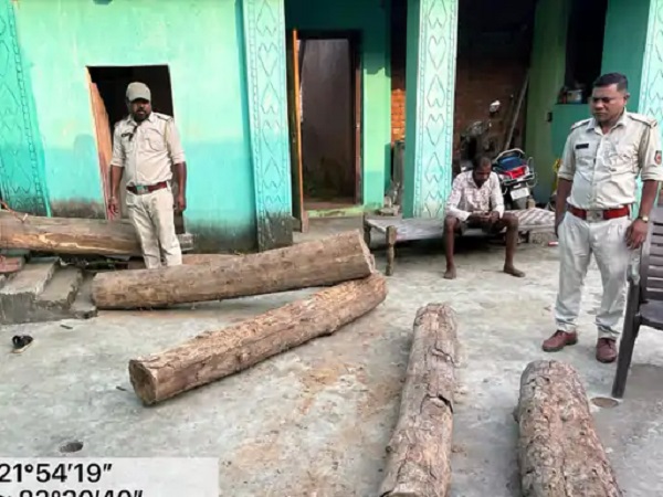 Raigarh: घर में छिपाकर रखे थे सागौन के लट्ठे और साल की चिरान, दस्तावेज नहीं दिखा सका मकान मालिक, सूचना पर वन विभाग ने की कार्रवाई