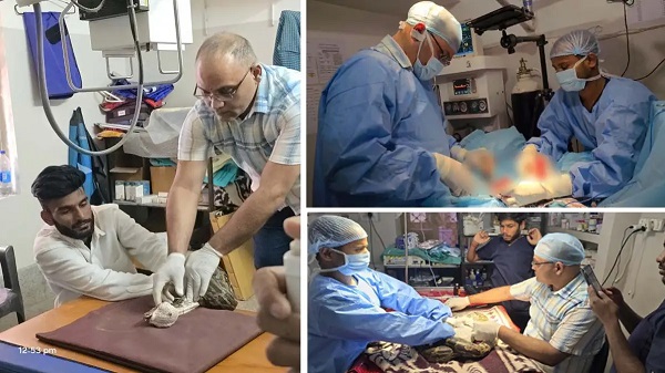 CG News: अजगर के मुंह से निकाला गया 200 ग्राम का ट्यूमर, साढ़े तीन घंटे तक चली सर्जरी, ‘स्नेक मैन आफ सरगुजा’ ने की पहल