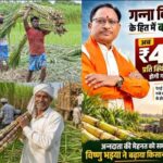विशेष लेख : गन्ना मूल्य में छत्तीसगढ़ देश में नंबर वन, किसानों को अब 425 रुपये प्रति क्विंटल की दर से होगा भुगतान, नई दर 2025-26 सत्र से ही लागू