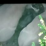 CG News: हाथियों के झुंड में नन्हे शावक का जन्म, ड्रोन से निगरानी कर रहा वन विभाग, ग्रामीणों को जंगल नहीं जाने की सलाह