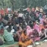 CG: 9 हाथियों के झुंड में जन्मे नन्हे हाथी की गांववालों ने मनाई छठी, प्यार से रखा ‘काशी’ नाम 
