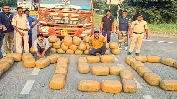 CG NEWS 50 करोड़ का 100 क्विंटल गांजा जब्त, 501 आरोपी गिरफ्तार, पांच राज्यों में फैले नेटवर्क पर कसा शिकंजा