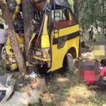 मनेंद्रगढ़ में पेड़ से टकराई बस : 6 यात्रियों की मौत, 15 घायलों को पहुंचाया गया अस्पताल